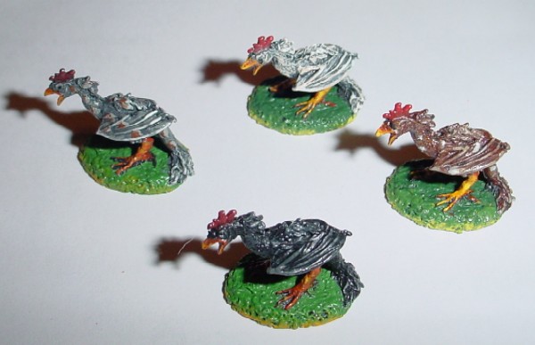 rooster2